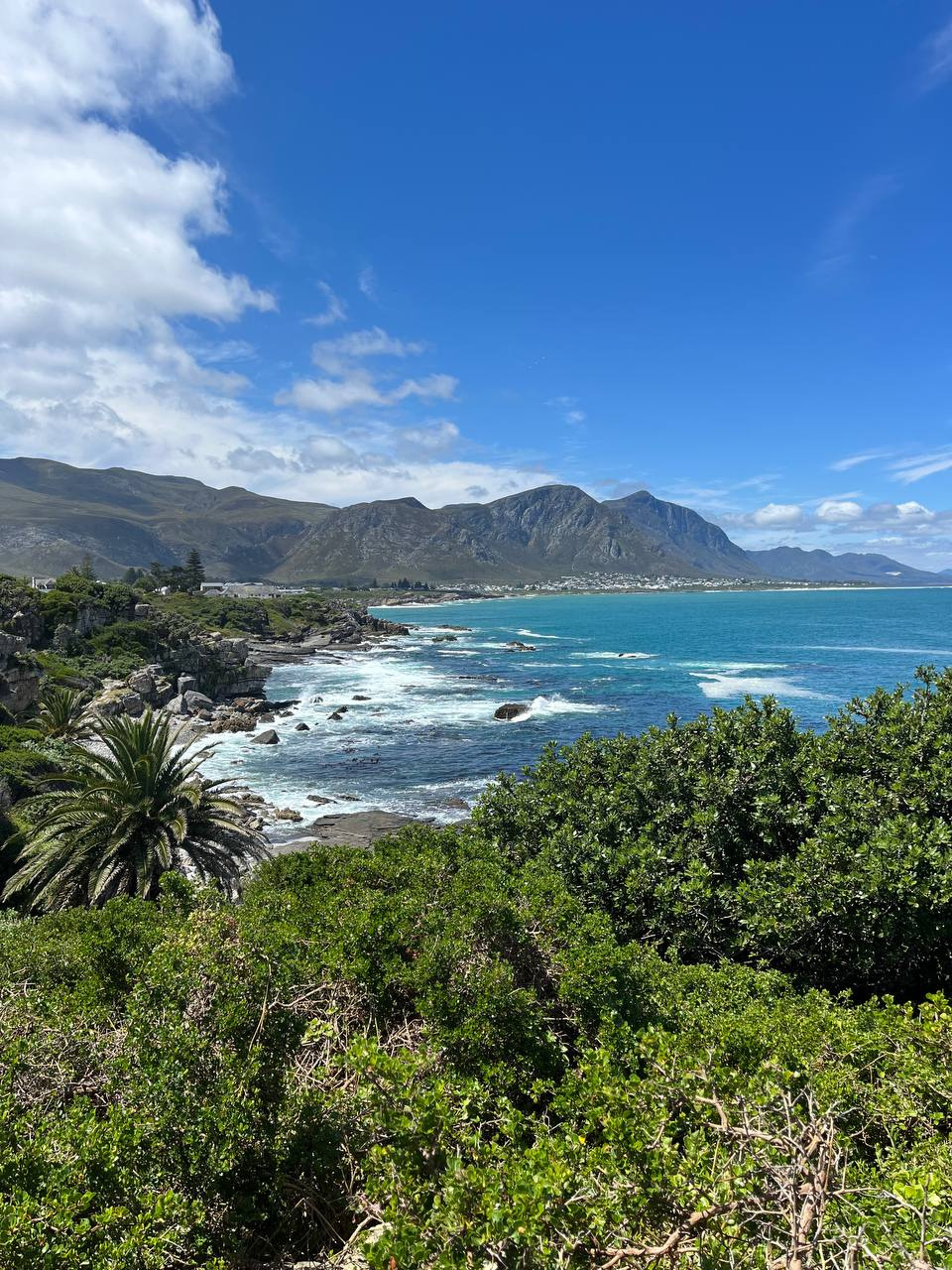Один из огромных плюсов ЮАР — невероятно красивая природа