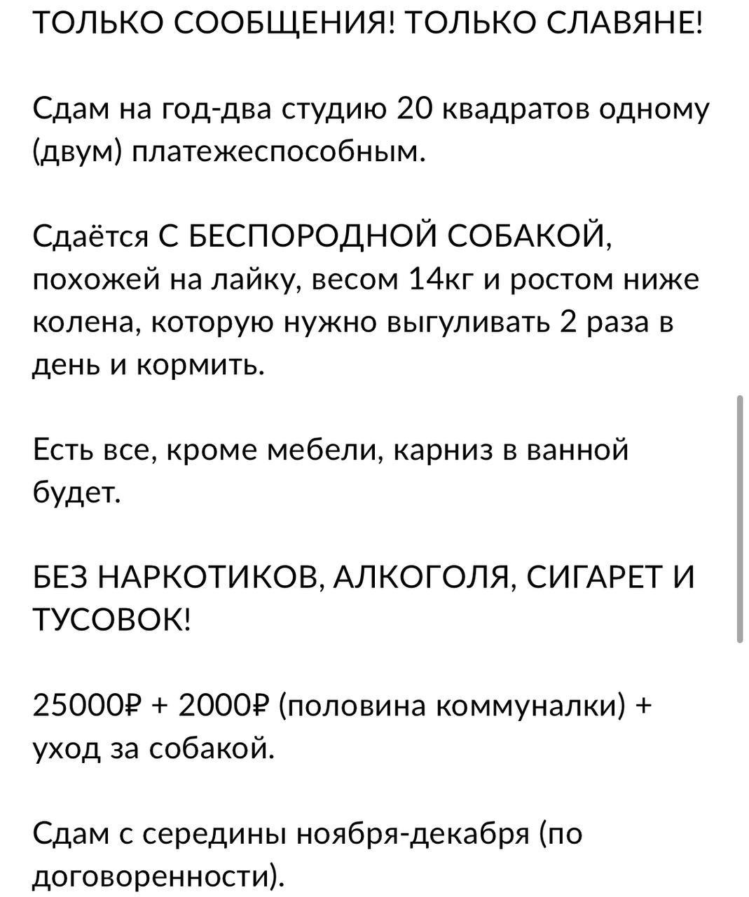 В Москве появились объявления о сдаче в аренду жилья вместе с домашними  животными - 14 октября 2022 - msk1.ru