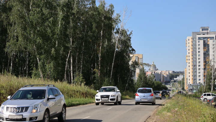На Тополиной аллее в Челябинске расширят дорогу между домами и лесом