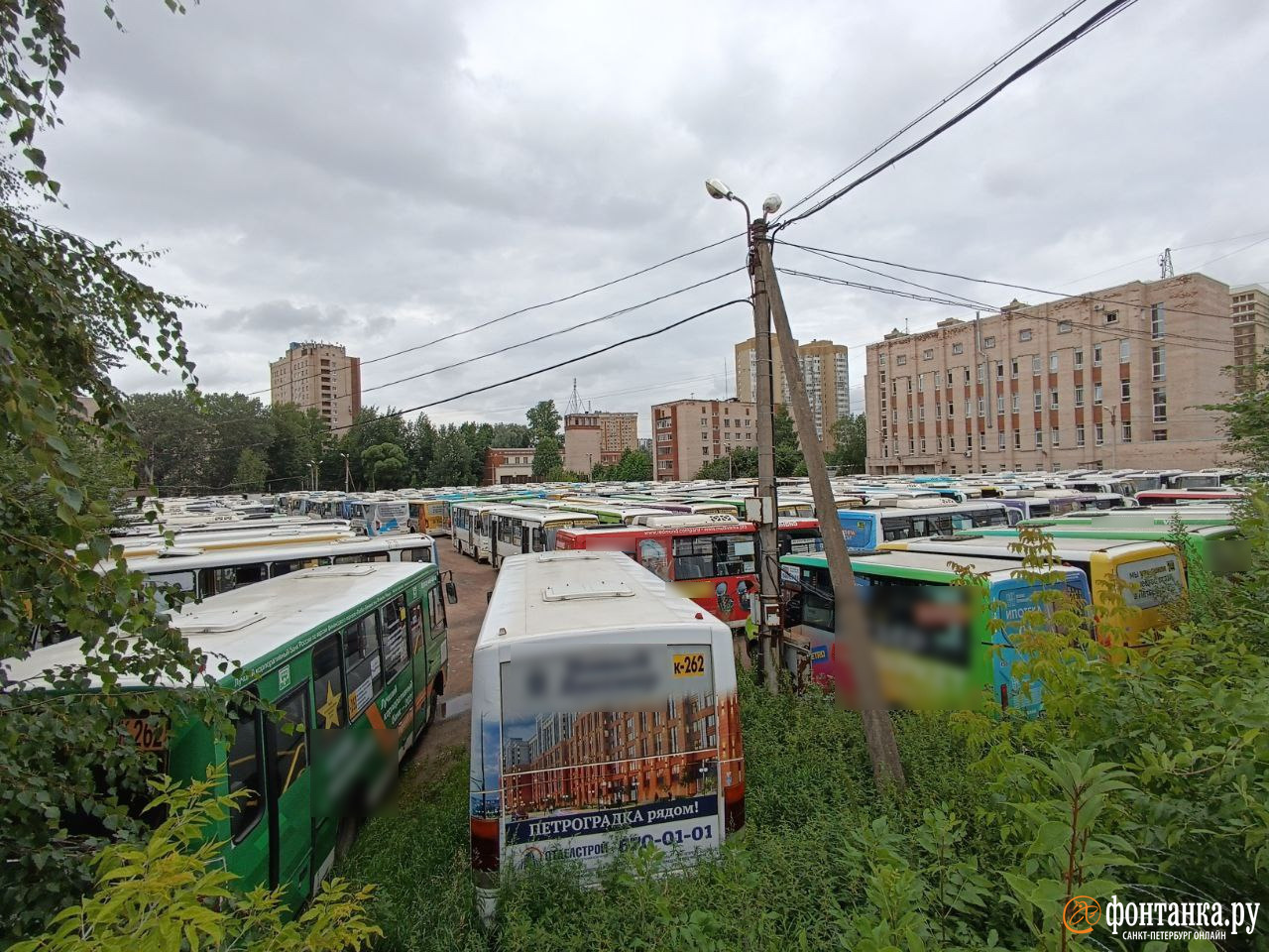 Что будет с дизельными автобусами в Петербурге после транспортной реформы  2022 года - 27 июля 2022 - ФОНТАНКА.ру