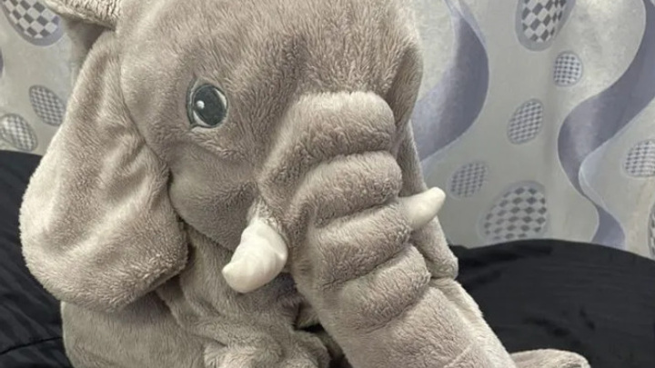 Игрушечного слона из IKEA выставили на продажу в Иркутске за 1,8 млн рублей