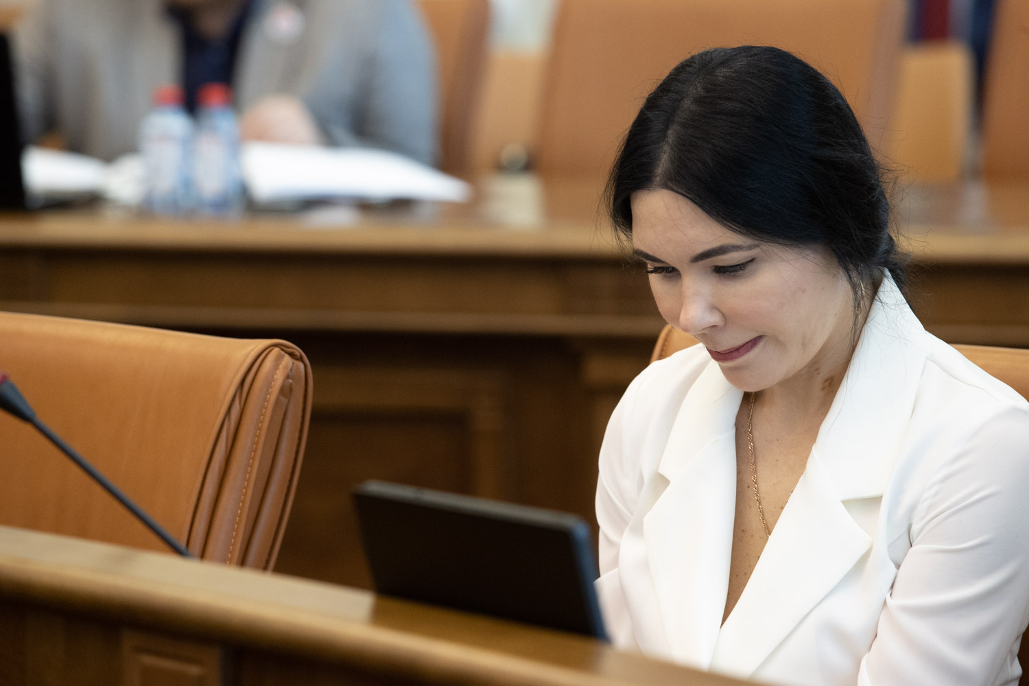 Ирина Иванова не может простить мэру неявку на сессии горсовета