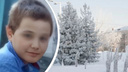 «Не вернулся домой с прогулки»: <nobr class="_">12-летнего</nobr> мальчика ищут в Новосибирской области