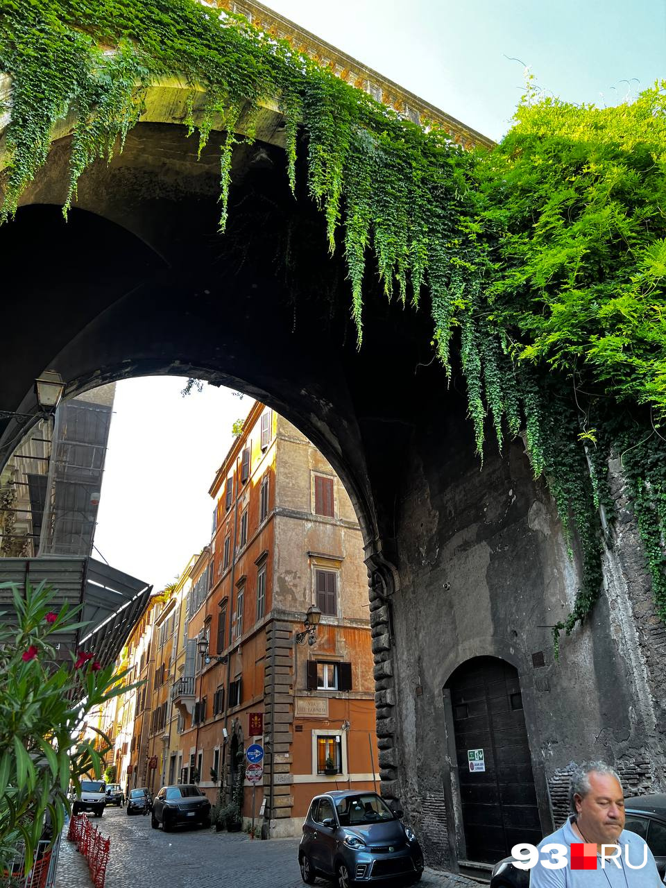 Везде в Риме здания оплетает плющ