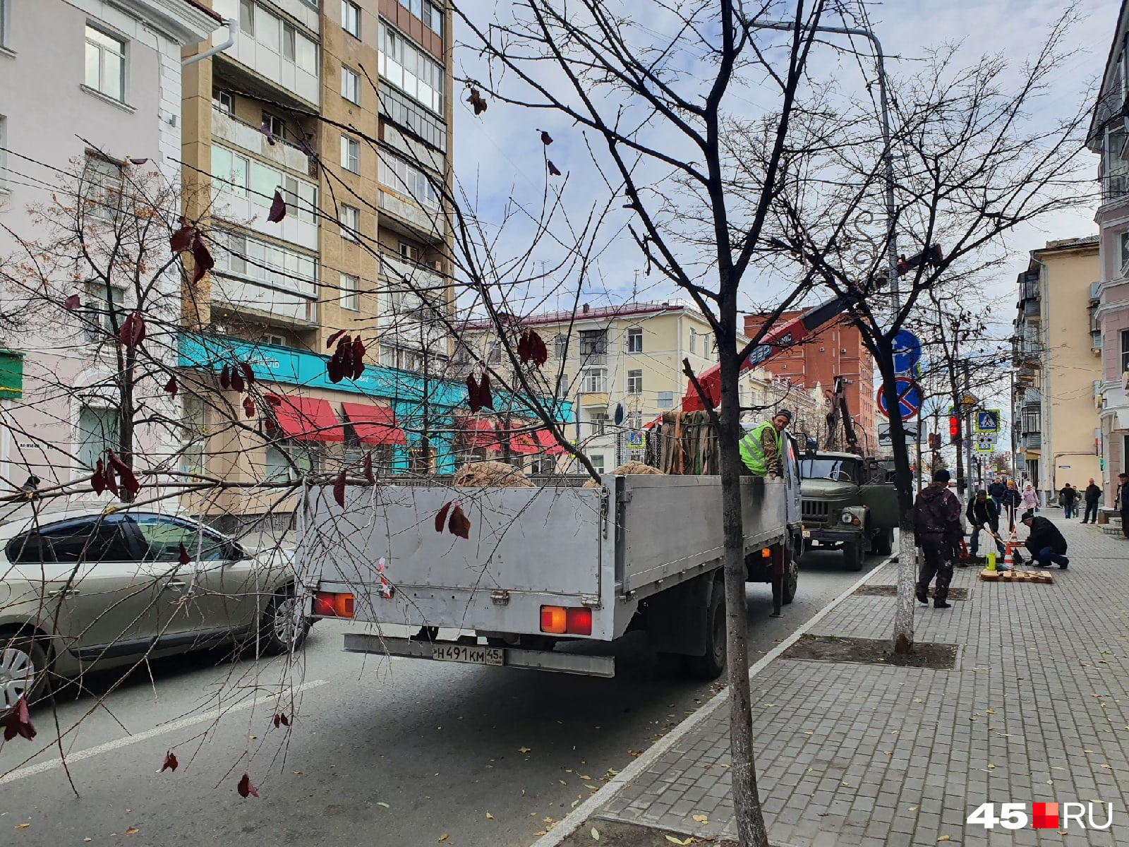 На улице Ленина высадили черемуху «неубиенную», разбавляя уже растущие липы