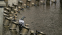 Ярославские чиновники объяснили, почему в городе постоянно выключают фонтаны: «Их надо обслуживать»