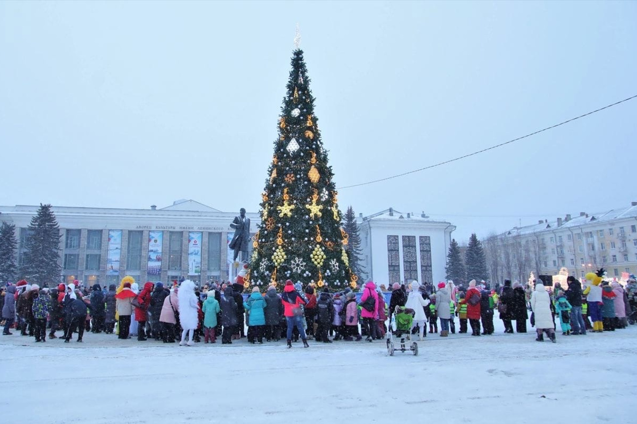 Ели архангельска