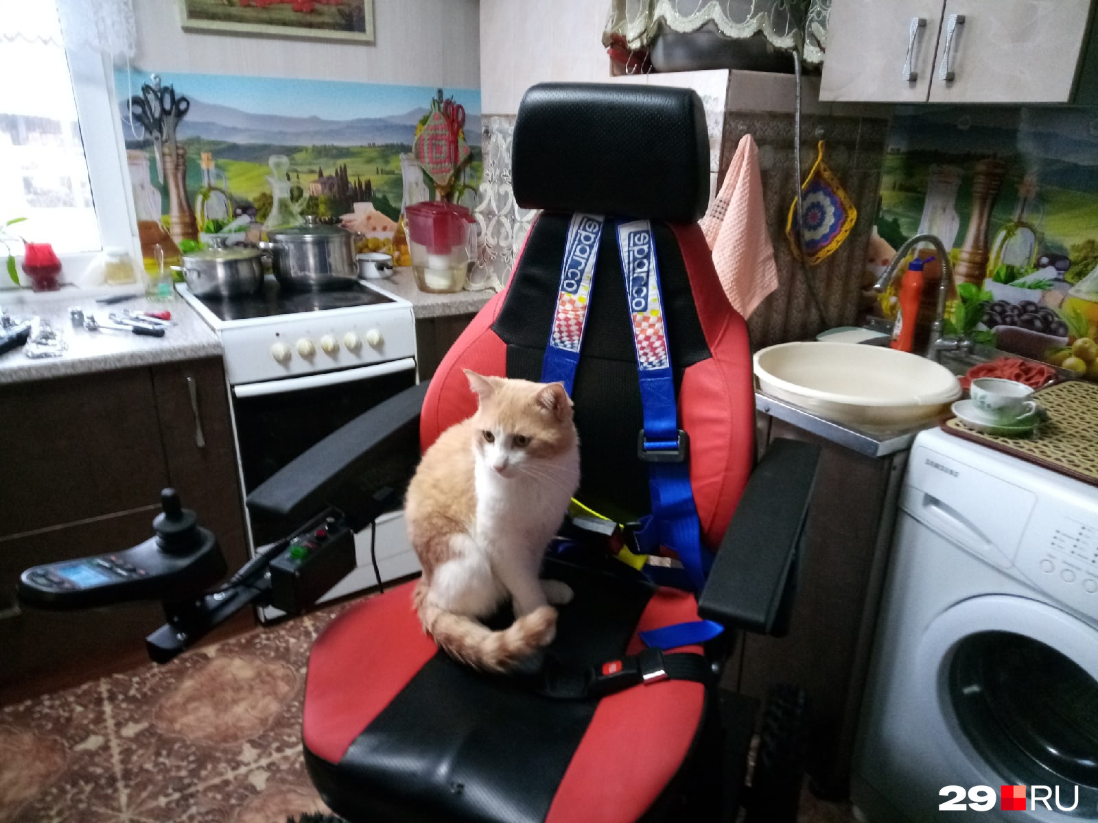 Еще один желающий опробовать коляску-вездеход Еще один желающий опробовать коляску-вездеход