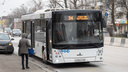 В Ростовской области льготникам вернули право на бесплатный проезд в автобусах