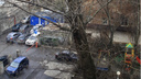 Ростовчанам пригрозили штрафами за обрезку сухих деревьев во дворе: пока чиновники думают, ветки падают на жильцов