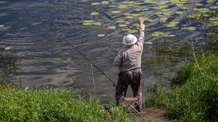 Более тысячи нарушений совершили нижегородские рыбаки с начала года