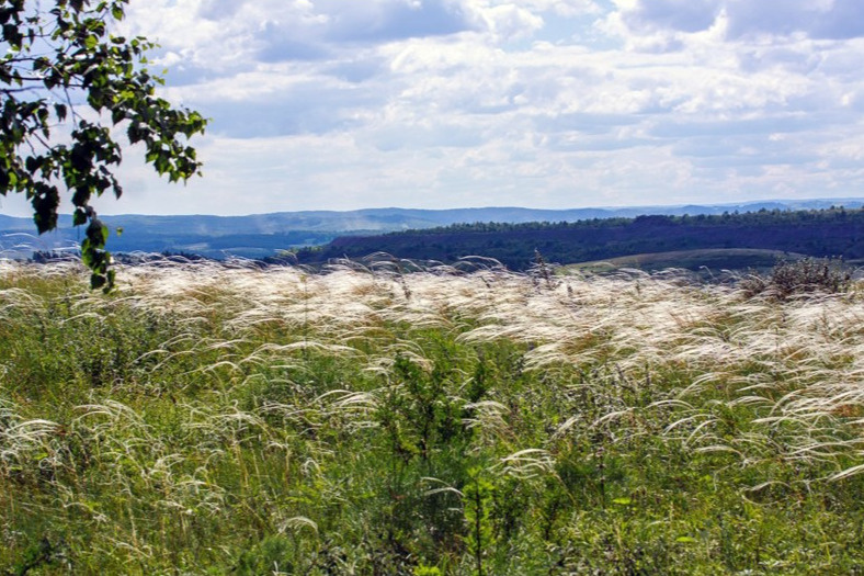 «Увалы села Лучшево» — особо охраняемая природная территория в округе