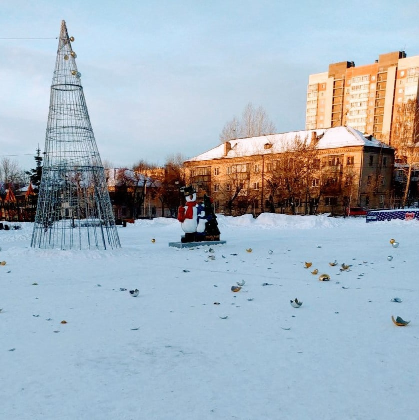 В прошлом году хулиганы побили игрушки на елке в сквере Колющенко
