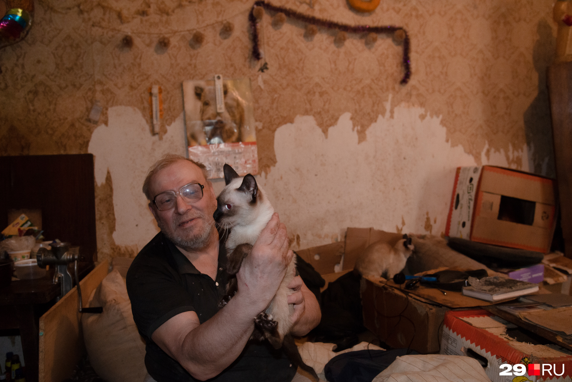 Своих питомцев пенсионер очень любит Своих питомцев пенсионер очень любит