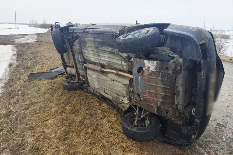 Шадринск новости дтп