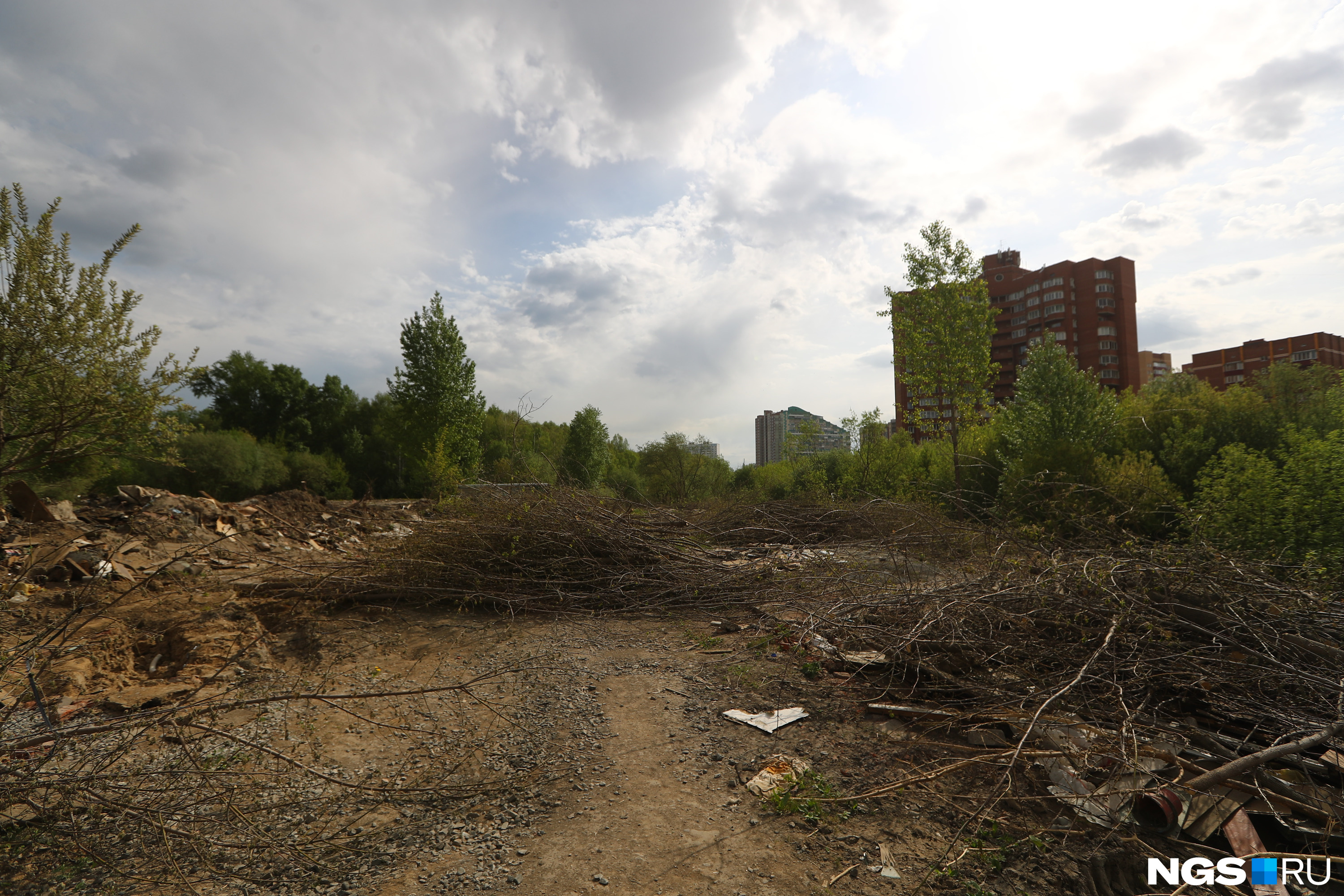 Ранее мэр Анатолий Локоть говорил, что чем активнее горожане голосуют за название для парка, тем больше у Новосибирска шансов получить федеральные деньги на озеленение города