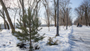 Синоптики: в Ростове похолодает с 19 декабря