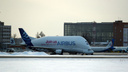 Один из крупнейших в мире самолетов улетел из Новосибирска — 7 впечатляющих кадров с «Белугой»