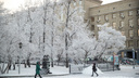 «В Новосибирске -40 не ждем»: что синоптики говорят о внезапном похолодании и как долго оно продлится