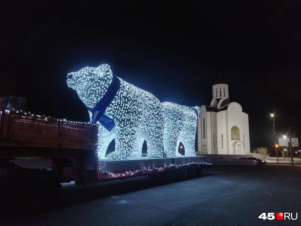 Белые медведи прибыли в Курган вечером 30 ноября. Это семья из медведицы и трех медвежат