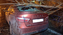 В Тольятти несколько деревьев упали на автомобили