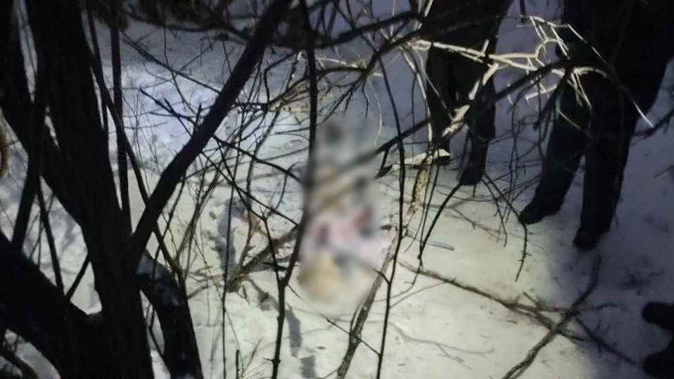 «Уже съели собаки»: в Казани нашли обглоданный труп пропавшего казанского фитнес-тренера