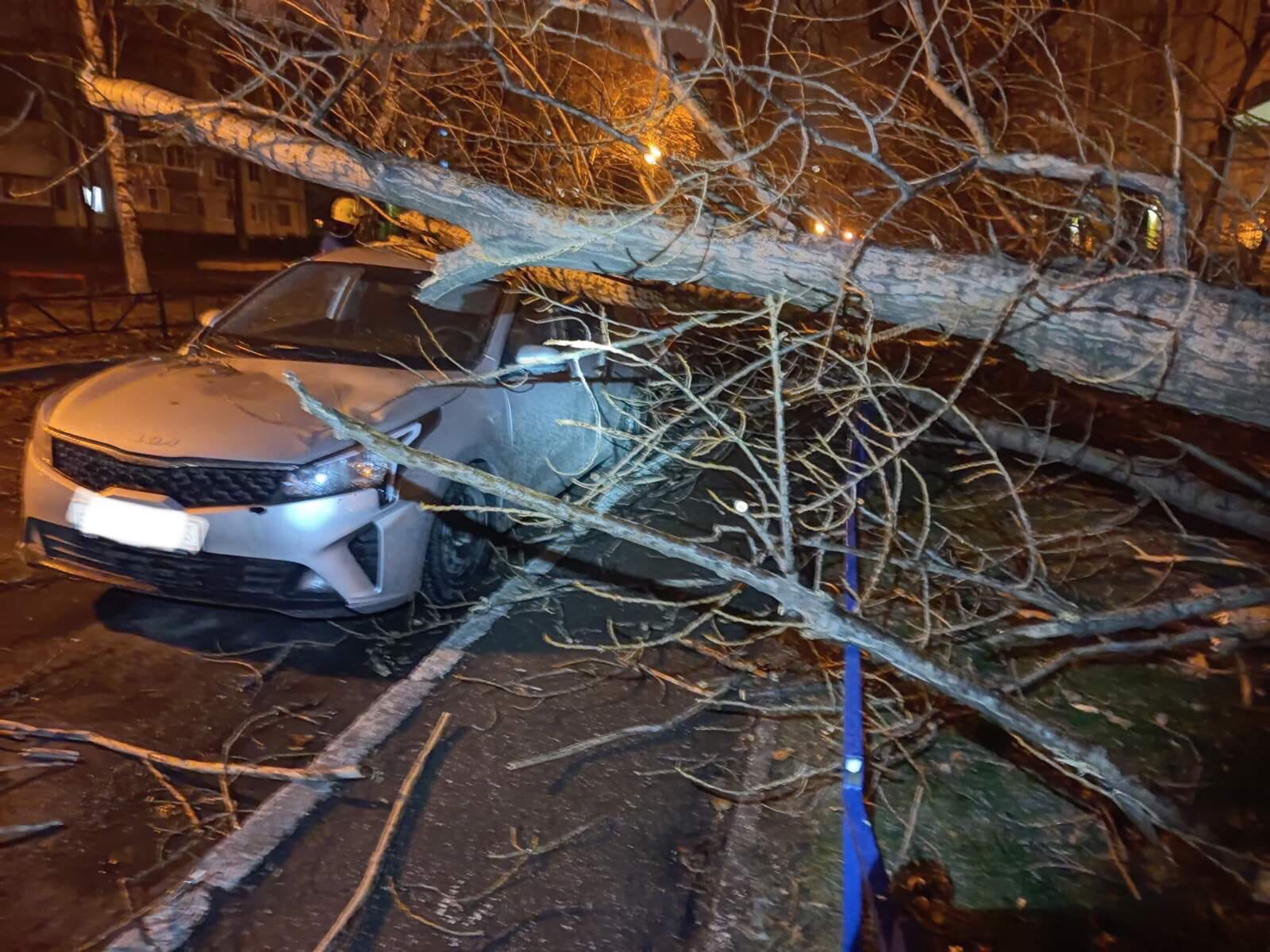 Новости тольятти сегодня происшествия свежие события. Дерево упало от порыва ветра на машину. Ураган повалил деревья на машины. Дерево упало на несколько машин. Упавшее дерево на автомобиль приору.