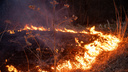 Новосибирские специалисты полетели в ХМАО на тушение лесных пожаров