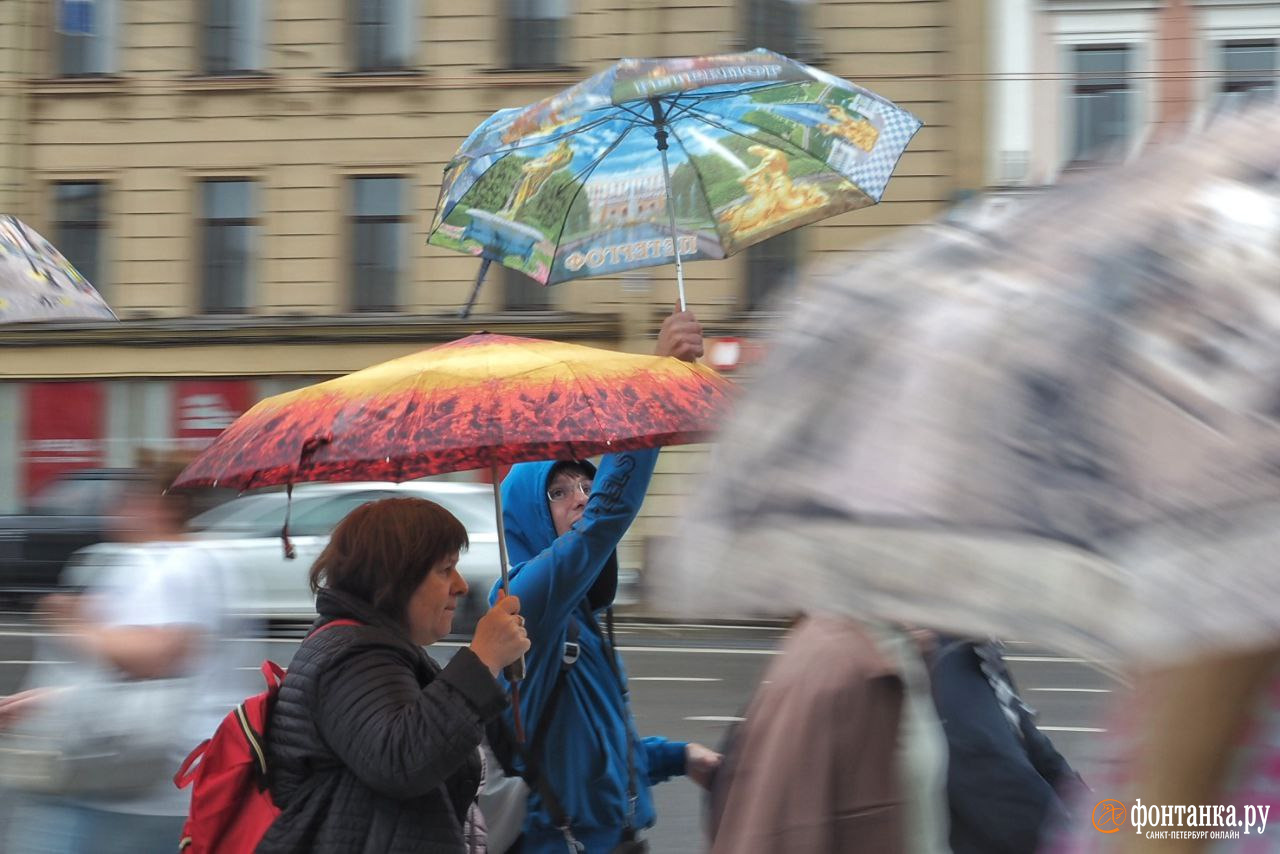 Желтый уровень опасности в спб. Дождь в городе. Дождь в Питере. Дождливая погода картинки. Город без дождя.