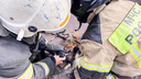 Пожарный рассказал, как спасал двух кошек из горящей квартиры