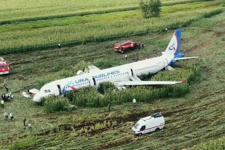 Самолет после посадки на кукурузном поле получил сильные повреждения и восстановлению не подлежит