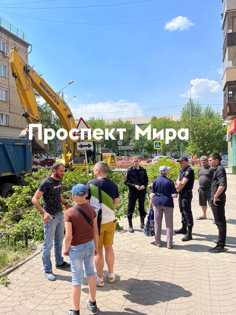 Красноярцы пытались остановить рубку, на место даже приехали полицейские Красноярцы пытались остановить рубку, на место даже приехали полицейские