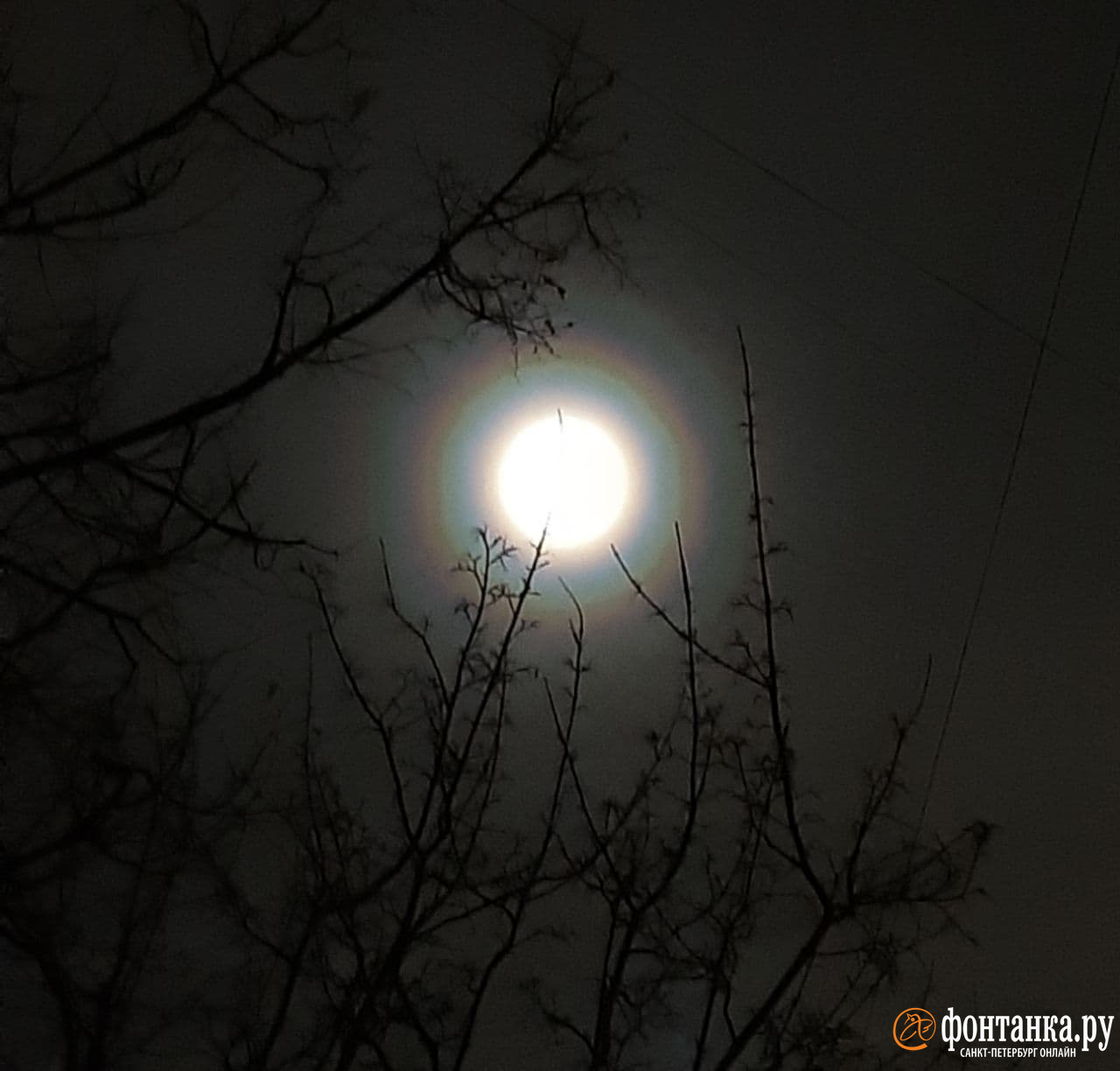 Венец вокруг Луны в Петербурге в ночь на 21 ноября