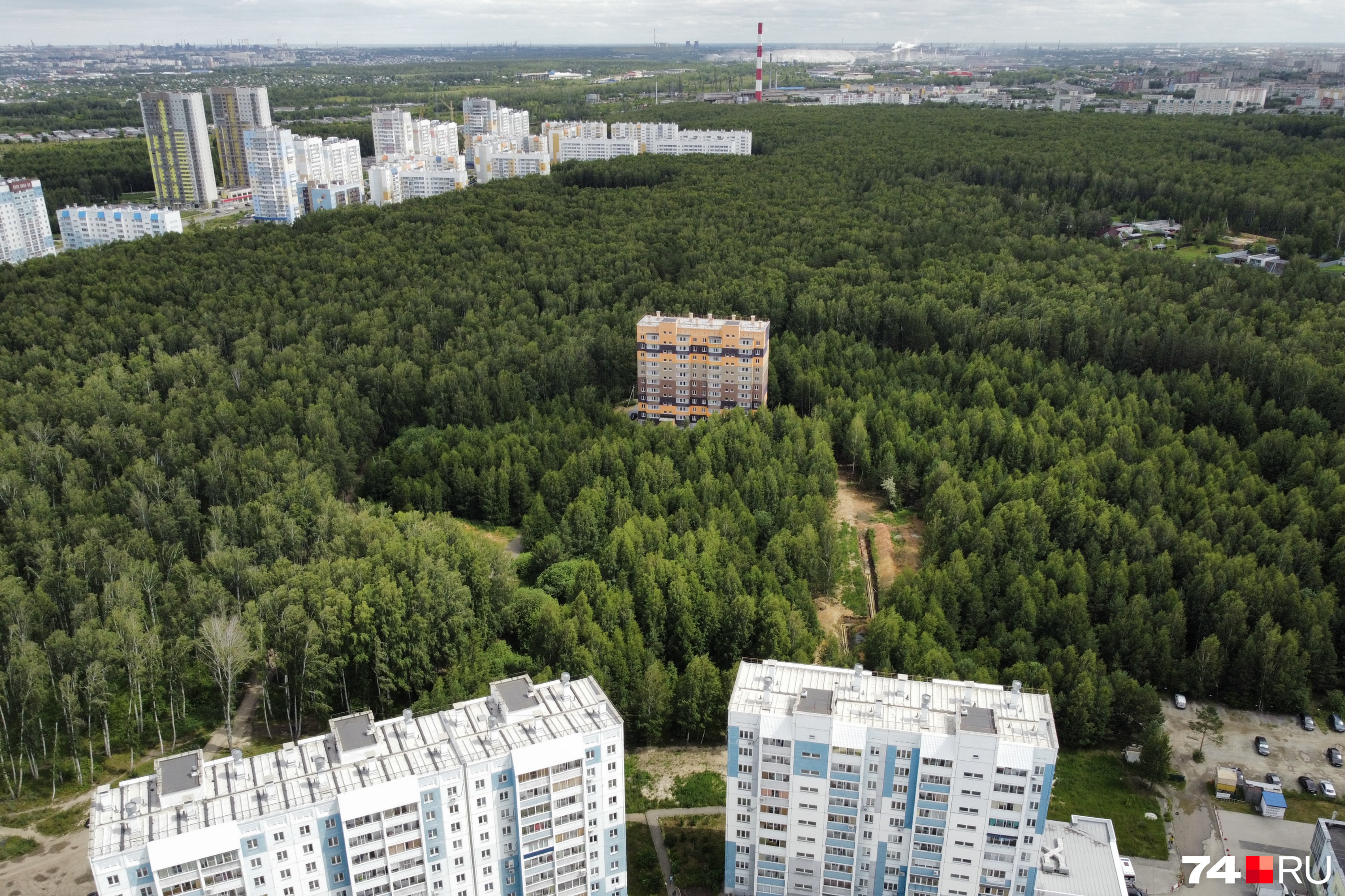 Территорию между домами на Хариса Юсупова и домом в лесу планировали застроить многоэтажками