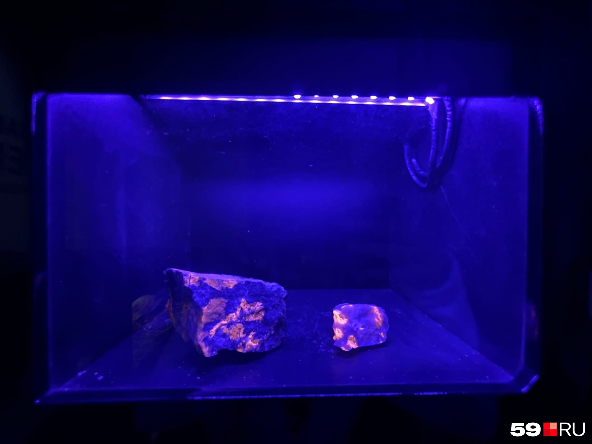 Экспозиция с люминесцентными эвдиалитами — вкрапления в минерале светятся в ультрафиолете