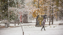 Когда закончится метель в Новосибирске? Изучаем прогнозы погодных сервисов