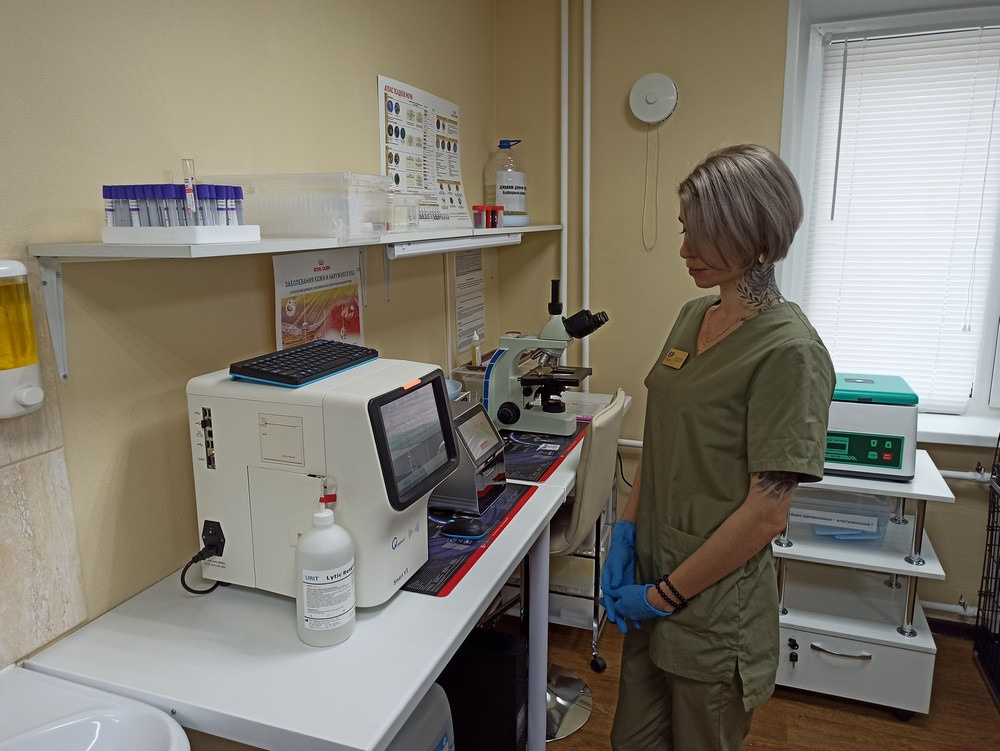 Ветклиника «Бравые ребята» получила грант в конкурсе для молодых предпринимателей Ветклиника «Бравые ребята» получила грант в конкурсе для молодых предпринимателей