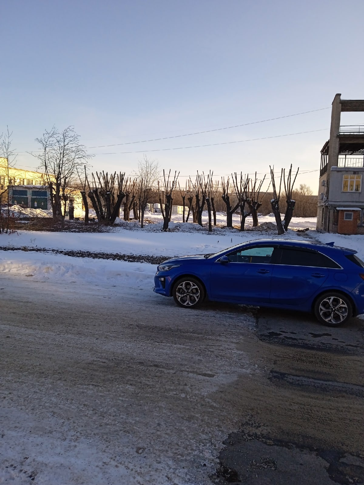 Вид у деревьев, конечно, не очень красивый Вид у деревьев, конечно, не очень красивый