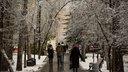 На Новосибирск надвигаются мокрый снег и ветер — прогноз погоды на три дня