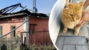 Спасли школьницу и двух котов: два жилых дома загорелись в Калининском районе