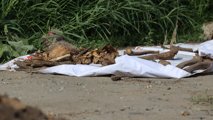 «Там даже детские были останки»: в Челябинске приостановили раскопки на месте захоронения жертв репрессий