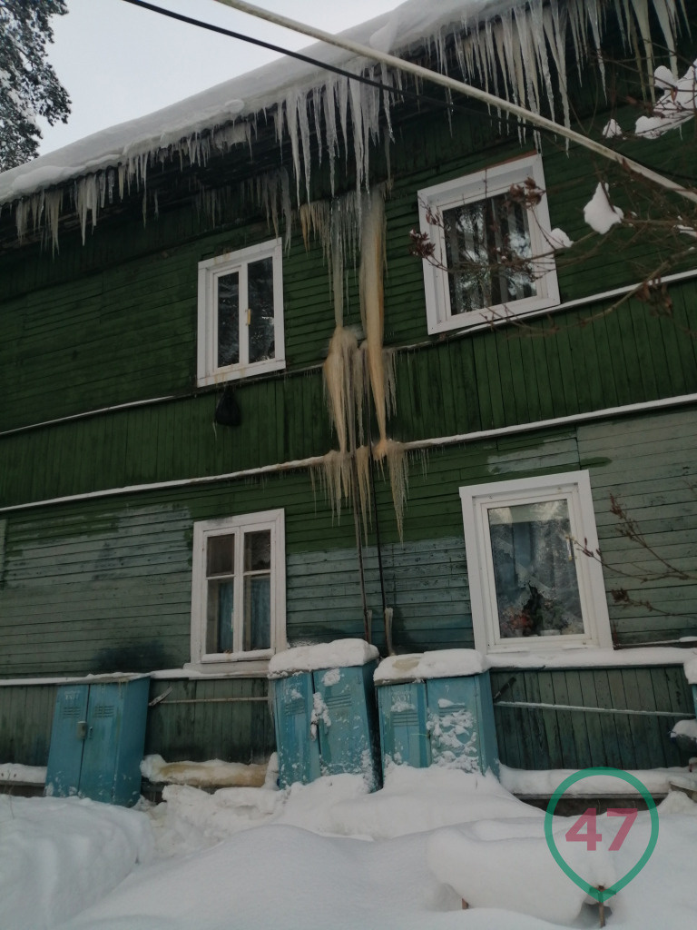 Деревянный дом в поселке под Петербургом окружили снег и сосульки-гиганты -  10 января 2022 - ФОНТАНКА.ру