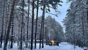 Новосибирск накрыл сильный снегопад — хроника событий