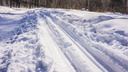 «Работала реанимация, не спасли»: лыжник умер в Заельцовском парке Новосибирска