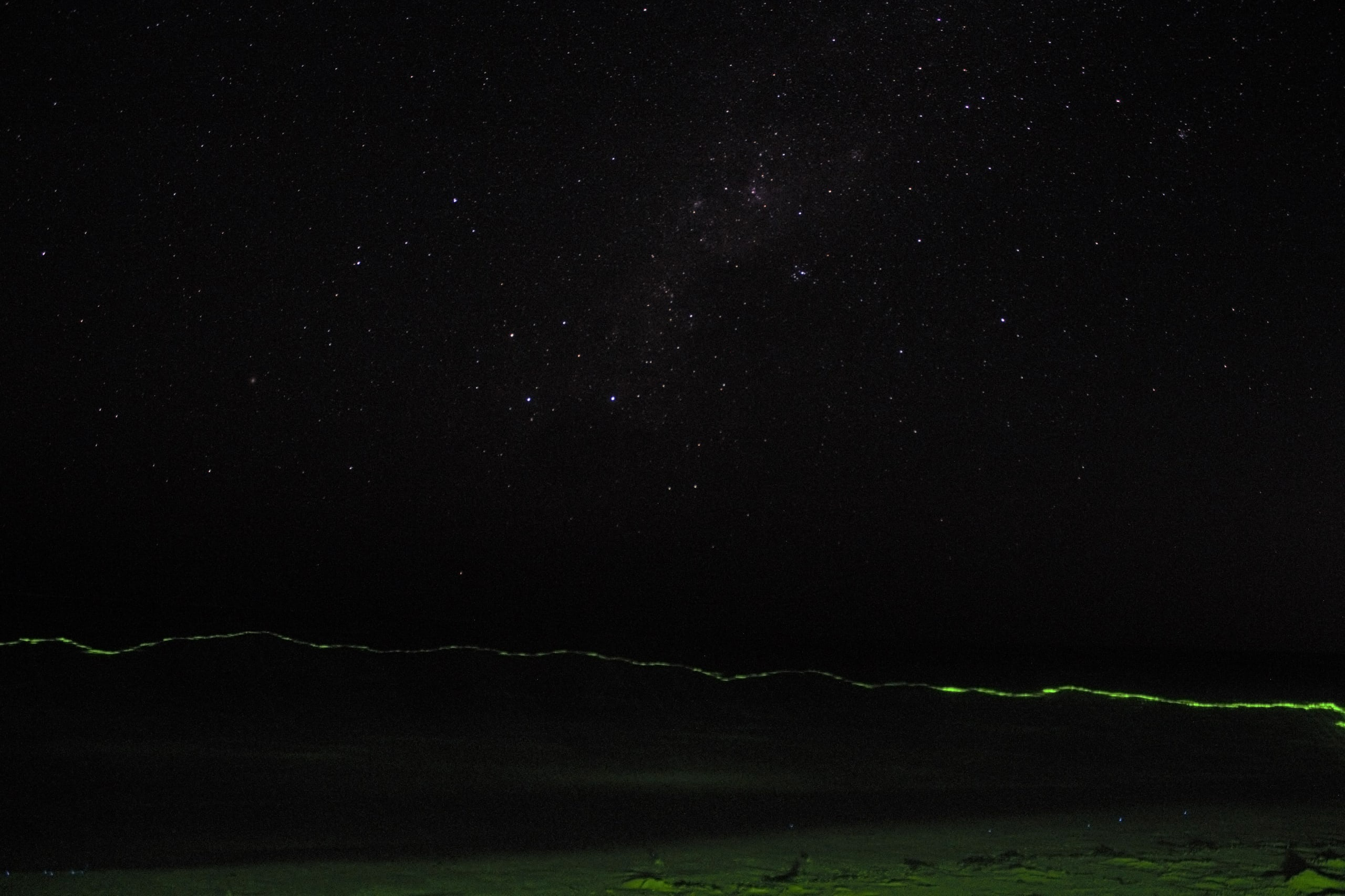 Светящийся планктон на фоне звездного неба