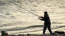 Аксайским рыбакам преградили выход к Дону платными понтонами