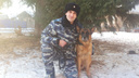 Служебный пес Пит помог найти подозреваемого в ограблении храма в Кетово