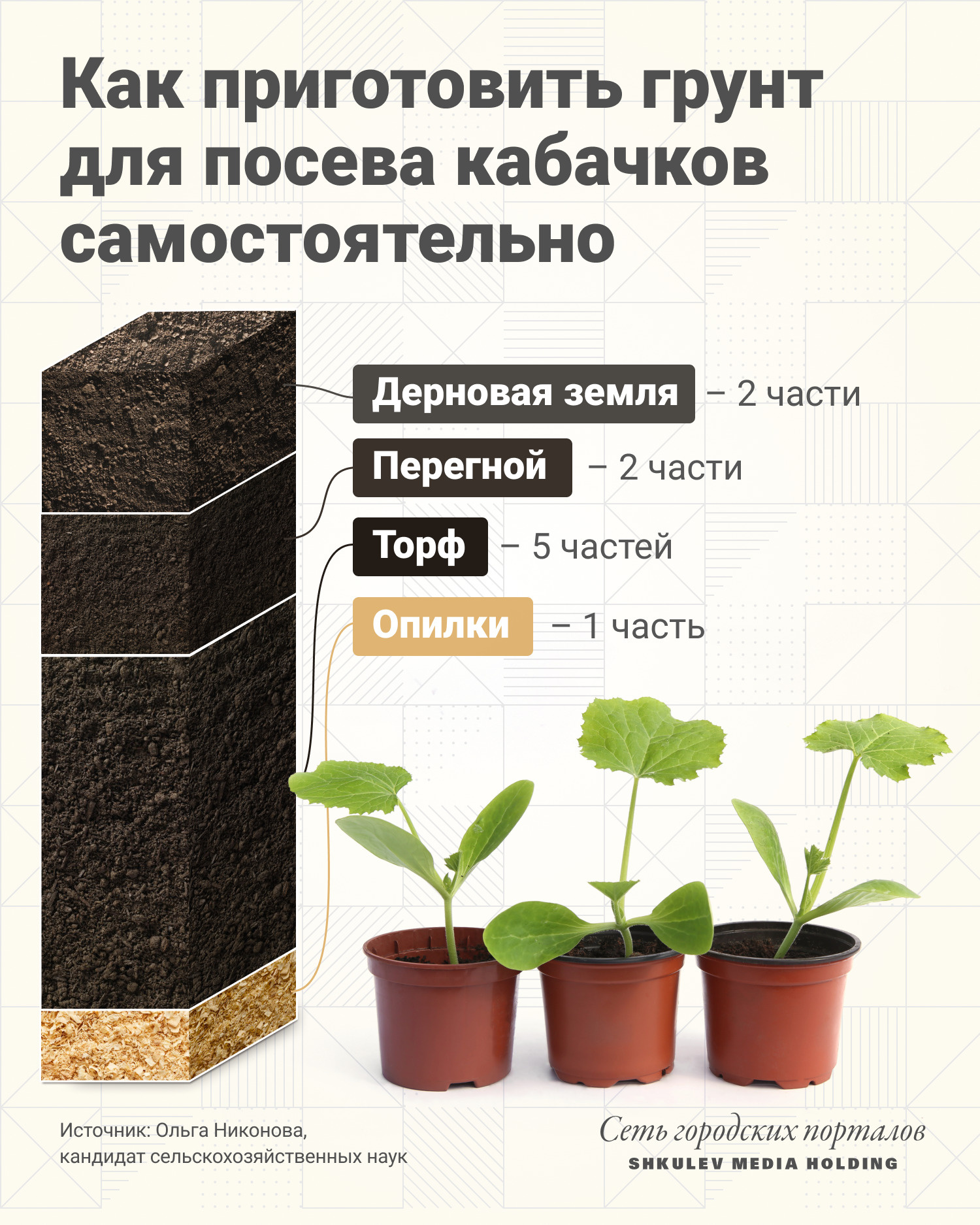 Когда сажать кабачки в открытый грунт и на рассаду в 2022 г. - 31 марта2022 - 74.ru