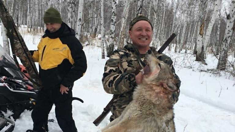 На Урале осудили депутата, который с друзьями давил волков снегоходом
