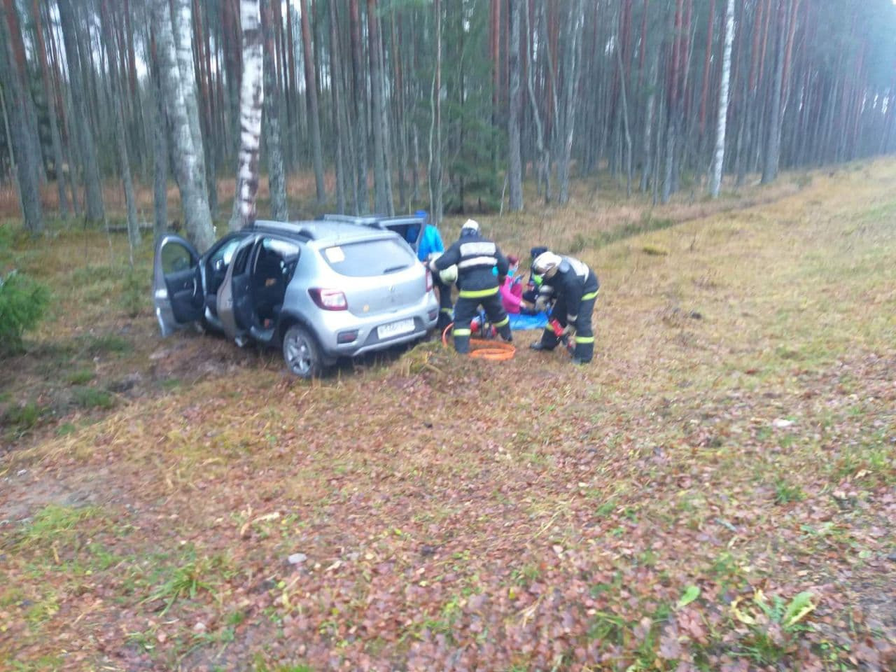 На «Коле» автомобиль пробил ограждение и улетел в кювет. Погибли две  женщины - 6 ноября 2021 - ФОНТАНКА.ру